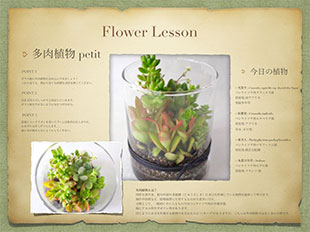 多肉植物：ガラス瓶に多肉植物を詰め込んで FLOWER LESSON Recipi 全12回のコースレッスン LIFEDECO flower works 東京 南青山のライフデコのフラワーレッスン